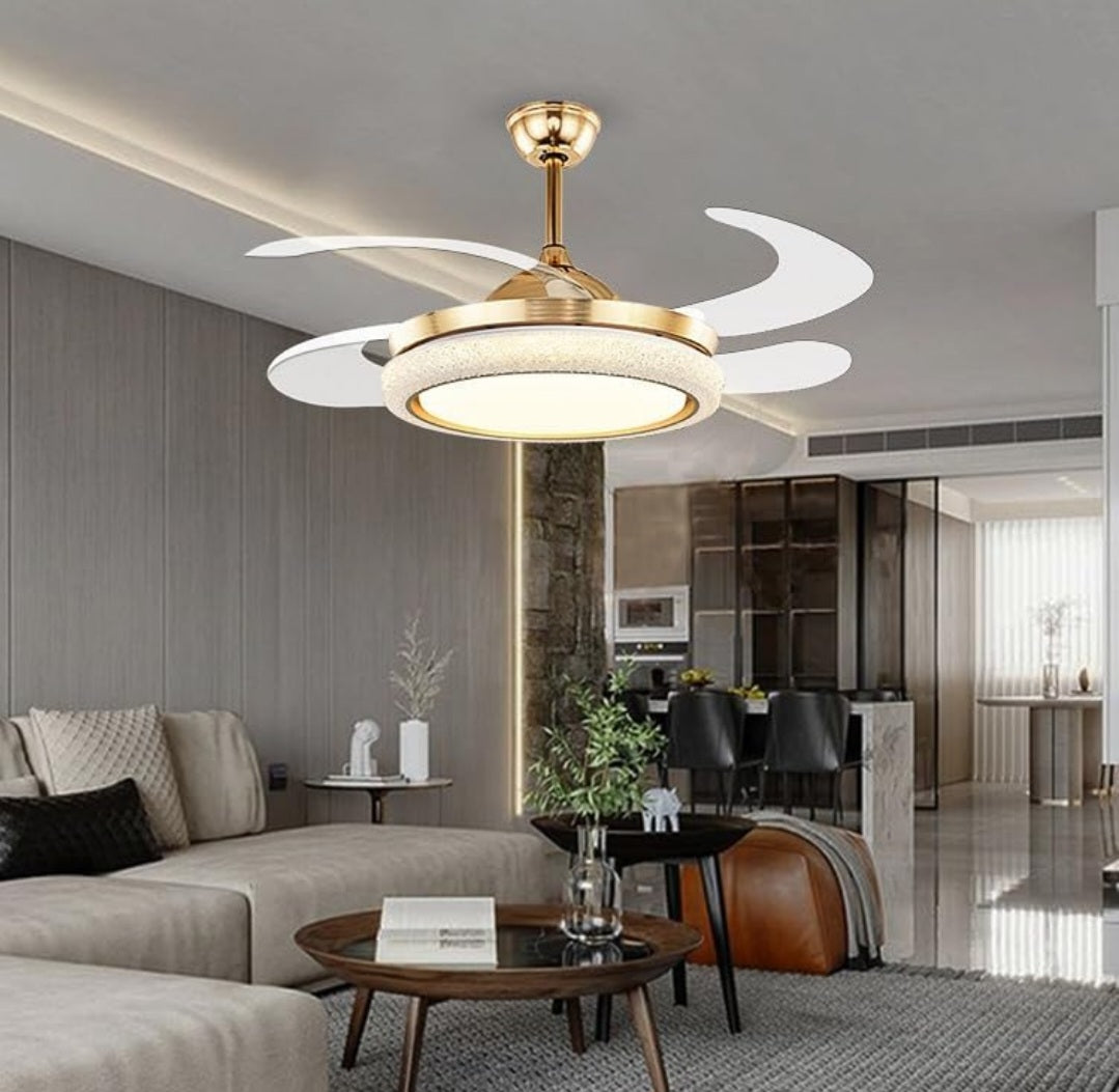 Designer fan
